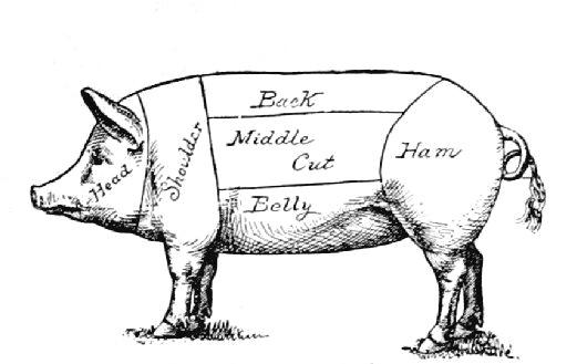 pork cuts