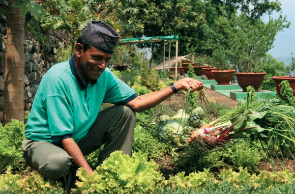 Glenburn Kitchen Garden