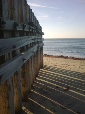 Groynes looking out to sea