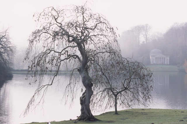 Stourhead in Winter (photo by David Levenson)