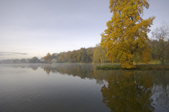 The Tulip Tree in Stourhead Lake (photo by Stephen Robson)