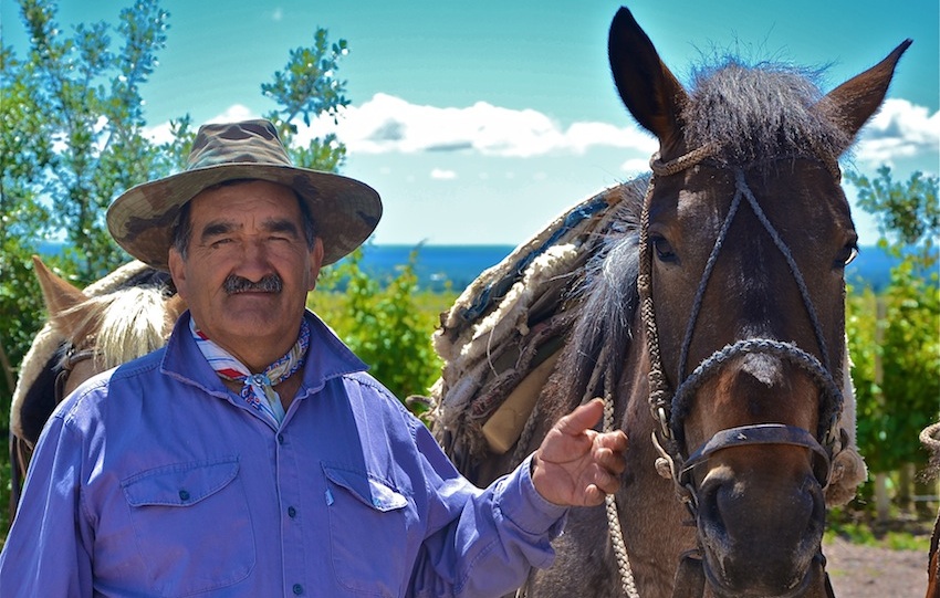 Argentina Gaucho