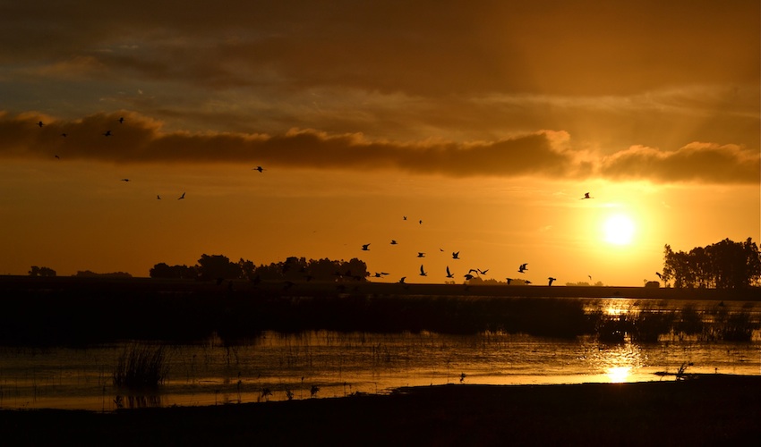 Argentina Lake sunset