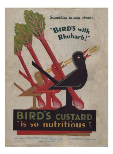 Birds rhubarb print