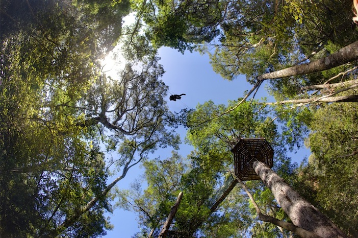 Tsitsikama Canopy