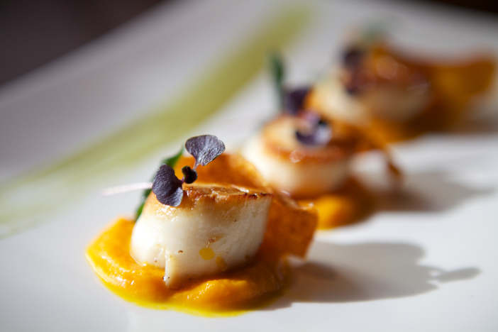 scallops