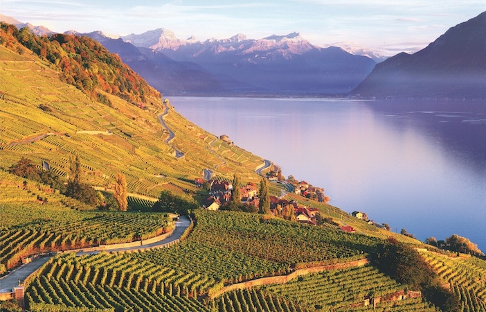 Lavaux dusk