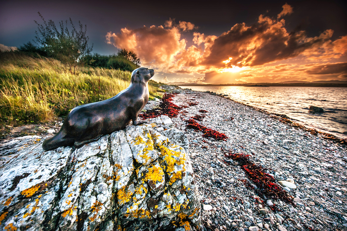 OTTER SUNSET SEPTEMBER  SMALL