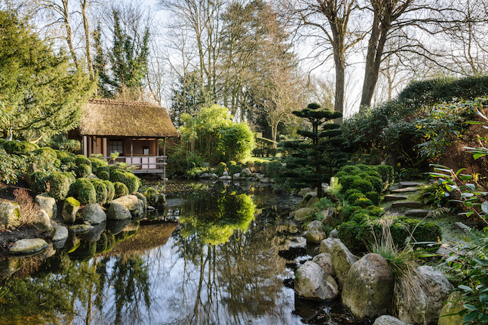 Japanese Tea Garden