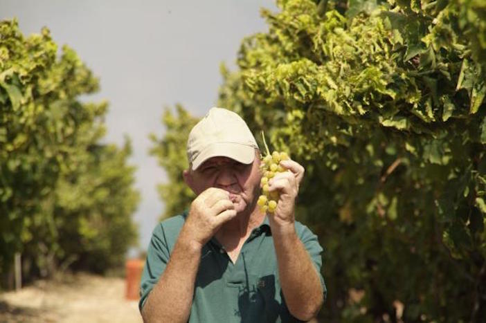 Nathan at Tulip Winery