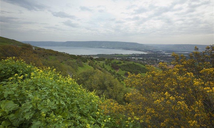 Sea of Galilee view