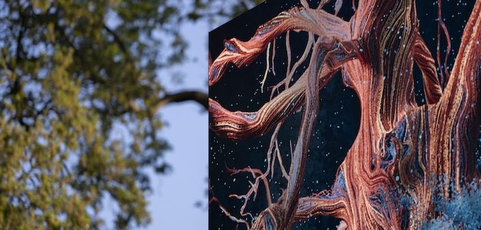 An Ode to an Oak