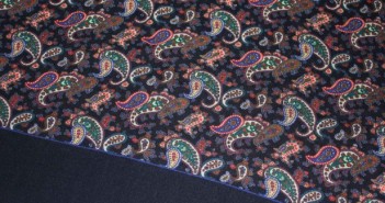 Paisley Perk