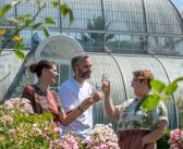 Botanical Bliss, in a Bottle: The Kew Series by Laithwaites