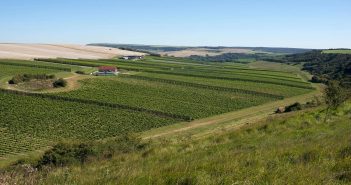 Chalk, Charm and Cuvées: A Journey to Rathfinny Estate