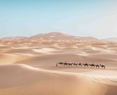 Sand, Stars and the Art of Getting Lost: A Saharan Interlude