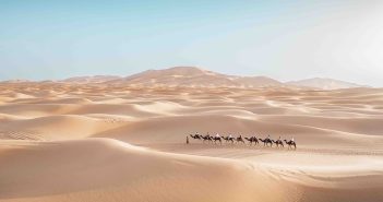 Sand, Stars and the Art of Getting Lost: A Saharan Interlude