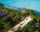 A Cayman Adventure, Part II: A Wilder Kind of Paradise