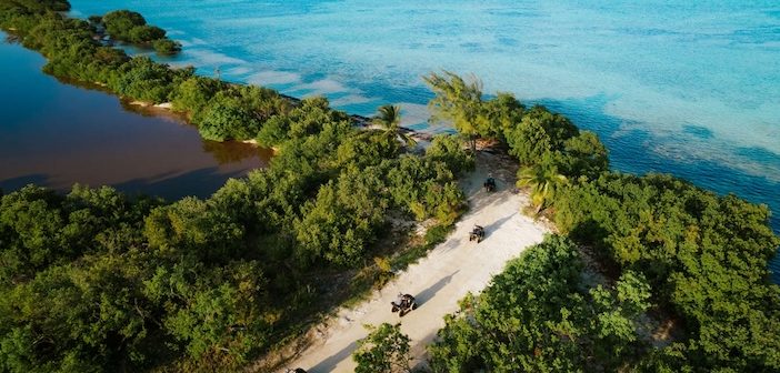 A Cayman Adventure, Part II: A Wilder Kind of Paradise