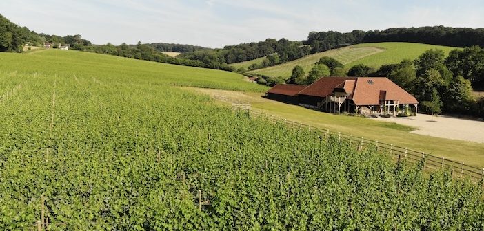 Quiet Perfection in the Chilterns