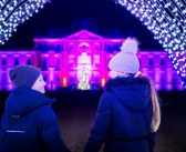The Arb’s Elevated Guide to Festive Family Fun