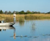 The Wildlife Aquatic: Botswana’s Absorbing Alt-Safaris