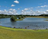 A Norfolk Safari, with a Plug