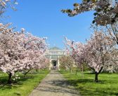 Sounds of Blossom at Kew Gardens