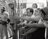 Catherine Opie: To Be Seen