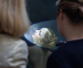 Metamorphoses at the Rijksmuseum, Amsterdam