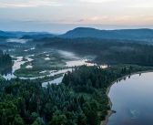 Ambushed by a Kohlrabi: The Unexpected Pleasures of Quebec