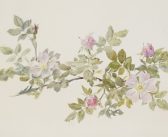 In Bloom: How Plants Changed Our World