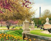 Paris in the Springtime: From Old to New