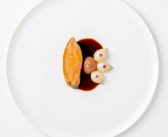 Orrery by Pierre Minotti