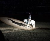 Where the Rodeo Meets the Renaissance