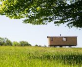 Up on the Hill: A Night Beneath the Chiltern Stars