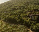 Clos Apalta: A Heavenly Vineyard Stay in Chile