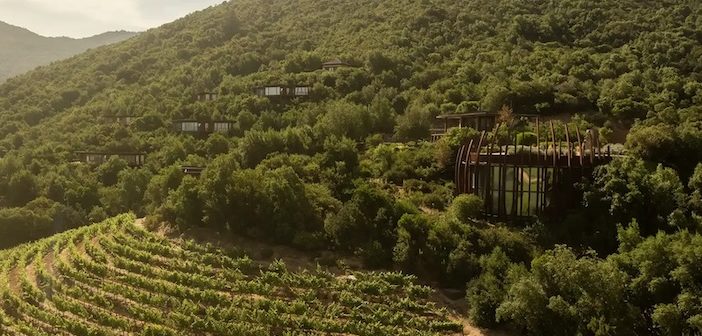 Clos Apalta: A Heavenly Vineyard Stay in Chile